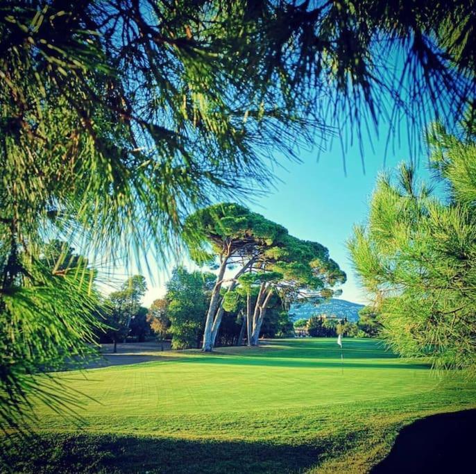 Luxury 3 Piece Garden Apartment In Cannes Marina Mandelieu 外观 照片